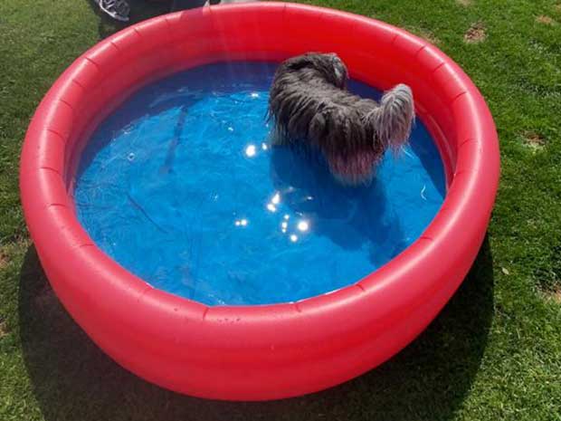 Cosmo bathing