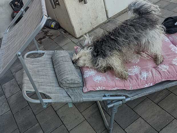 Cosmo relaxing